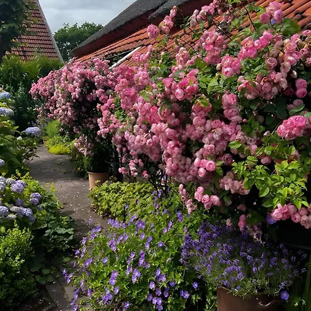 Luettje Reethuus *