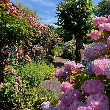 Luettje Reethuus Hébergement de vacances