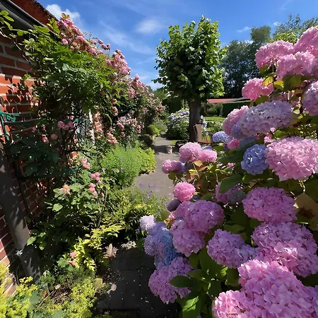 Luettje Reethuus Hébergement de vacances Südbrookmerland