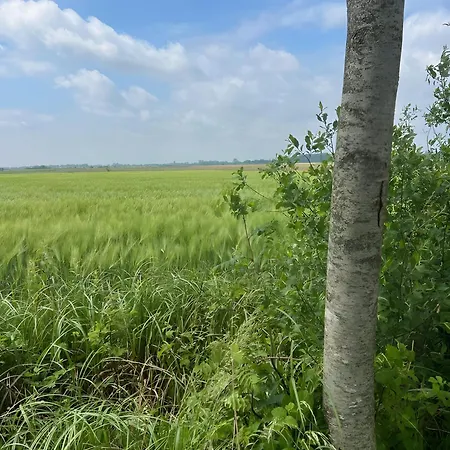 Hébergement de vacances Luettje Reethuus Südbrookmerland