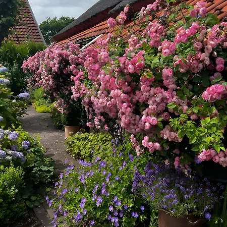 Hébergement de vacances Luettje Reethuus *